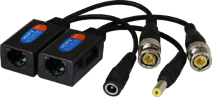 P-TRPV1